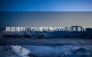 跨国爆料：YSL蜜桃色WWW相关事件