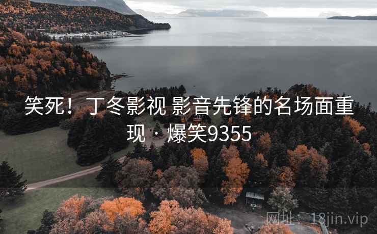笑死！丁冬影视 影音先锋的名场面重现 · 爆笑9355