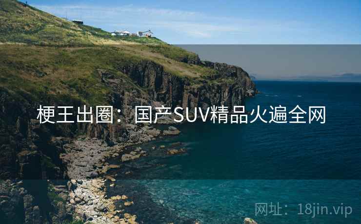 梗王出圈:国产SUV精品火遍全网 梗王出圈:国产SUV精品火遍全网